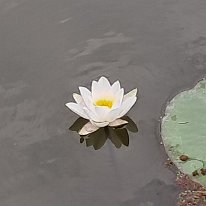 505828899_10238578616072662_8523507958288978511_n