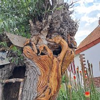 505873038_10238578608832481_6539084545574632452_n