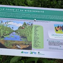 506311361_10238578632513073_3743735840543833447_n