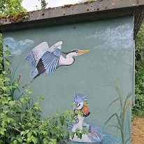 506497869_10238578603472347_7676593542386164105_n