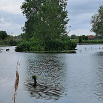 506777821_10238578661153789_2881999322825112636_n