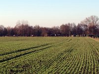 IMG 5863